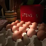 Clone Penzion