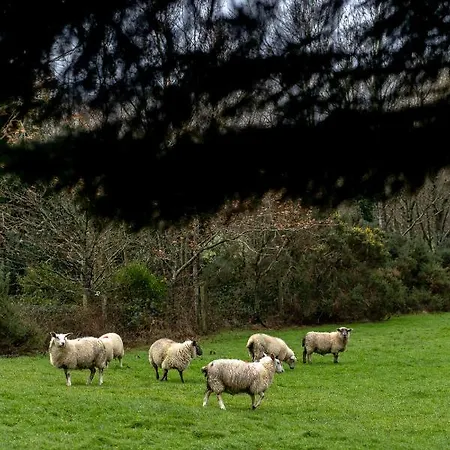 Clone & Gardens Gasthuis Aughrim