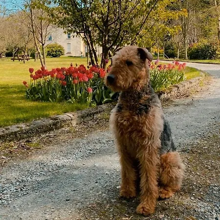 Clone & Gardens 5* Aughrim