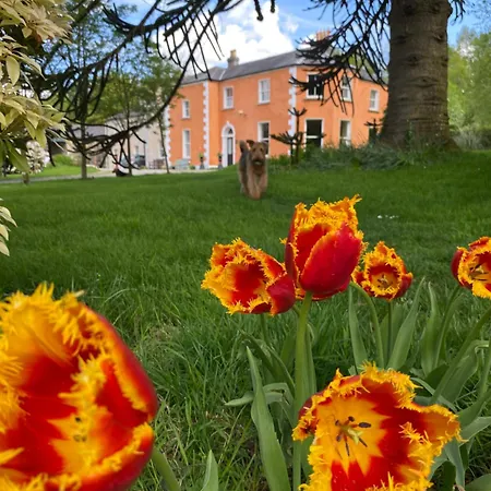 Clone & Gardens Gæstehus Aughrim