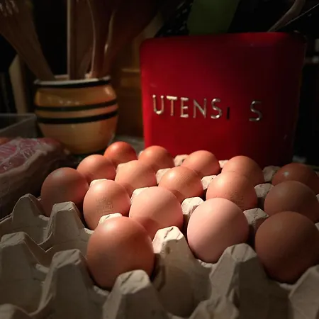 Clone Casa de hóspedes