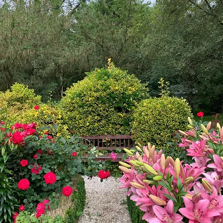 Clone & Gardens 5*