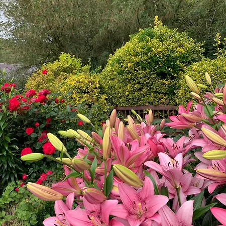Clone & Gardens 5* Aughrim