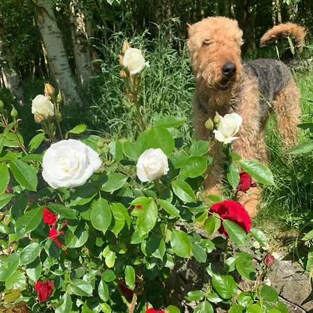 Clone & Gardens