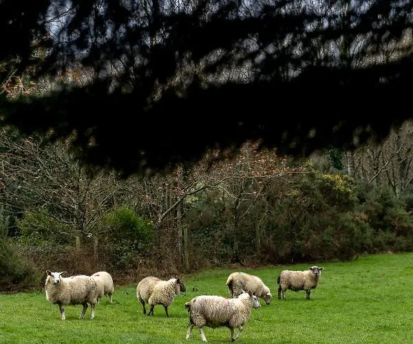 Clone Vendégház Aughrim