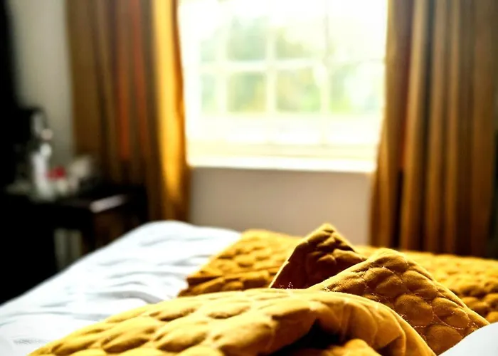 Gæstehus Clone Aughrim