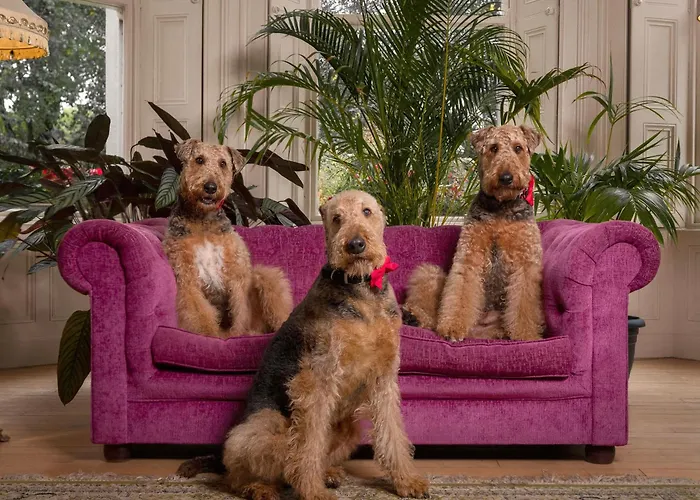 Gæstehus Clone Aughrim